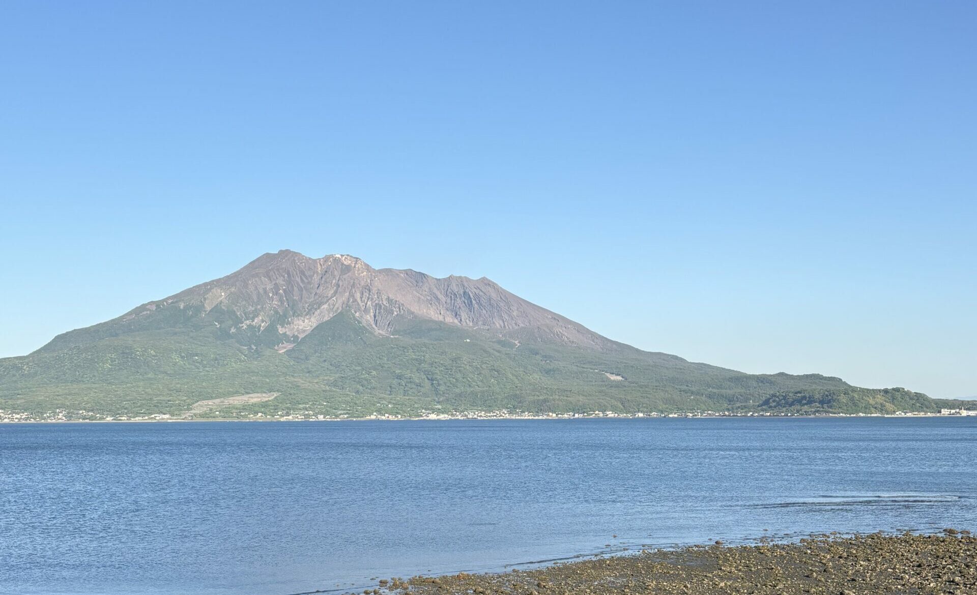 『悪者になる勇気』-さっこからのお便り#028-