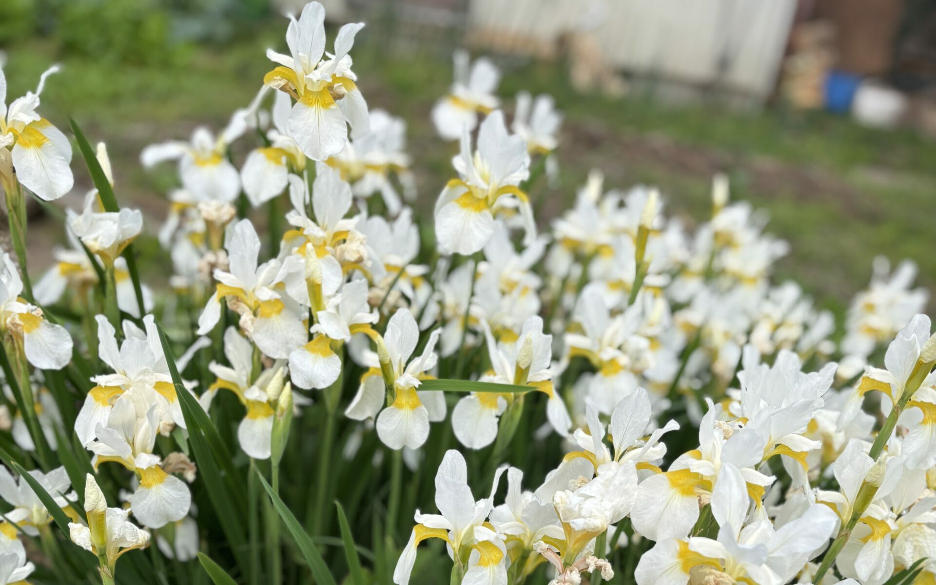 『生活と暮らし』-さっこからのお便り#031-